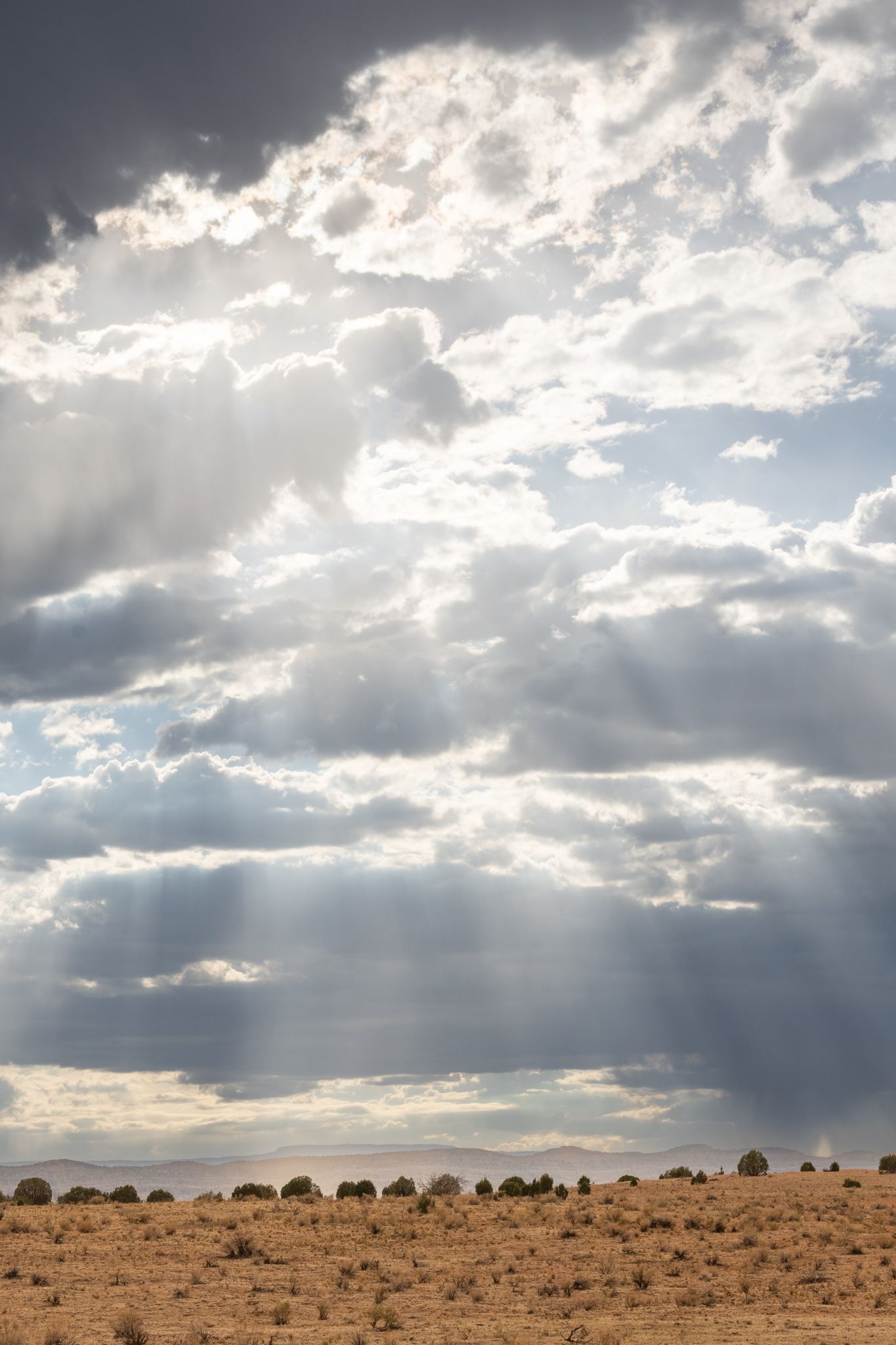 Light Shafts