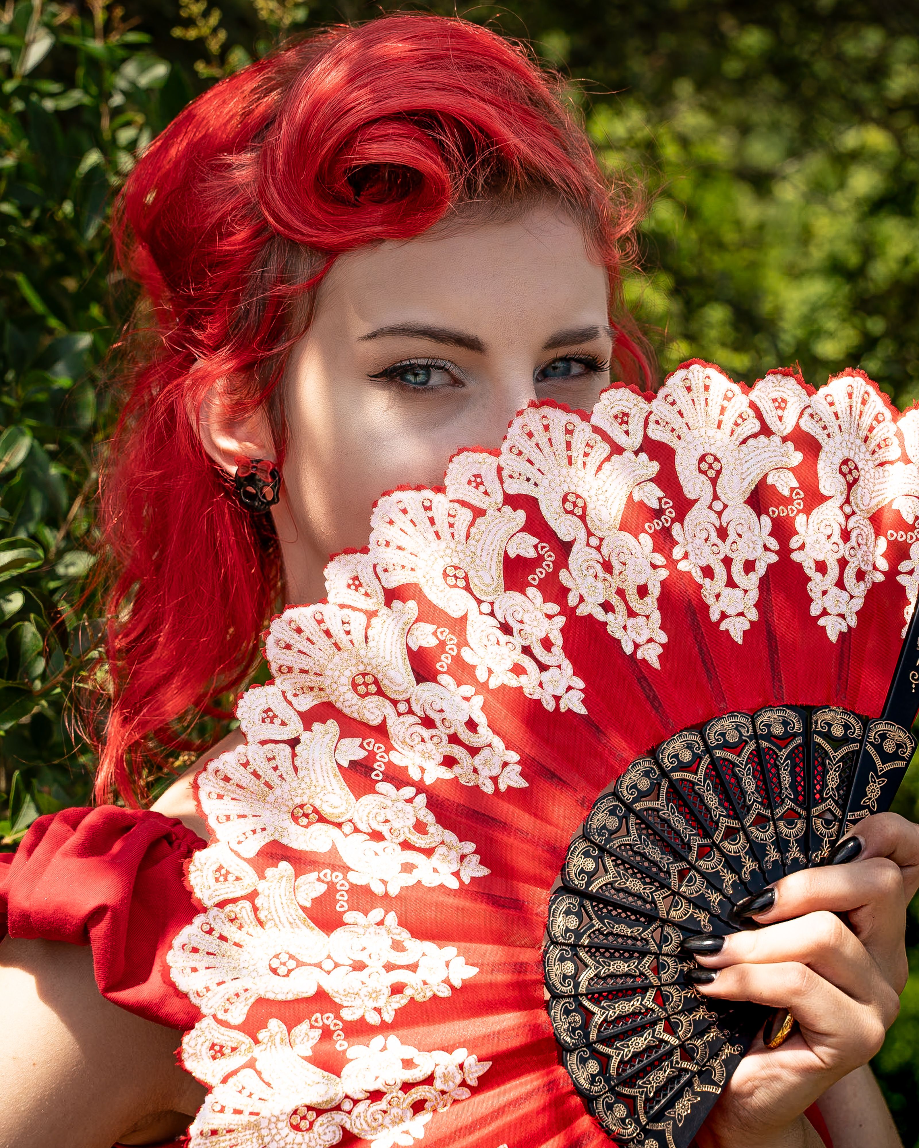 The Fan