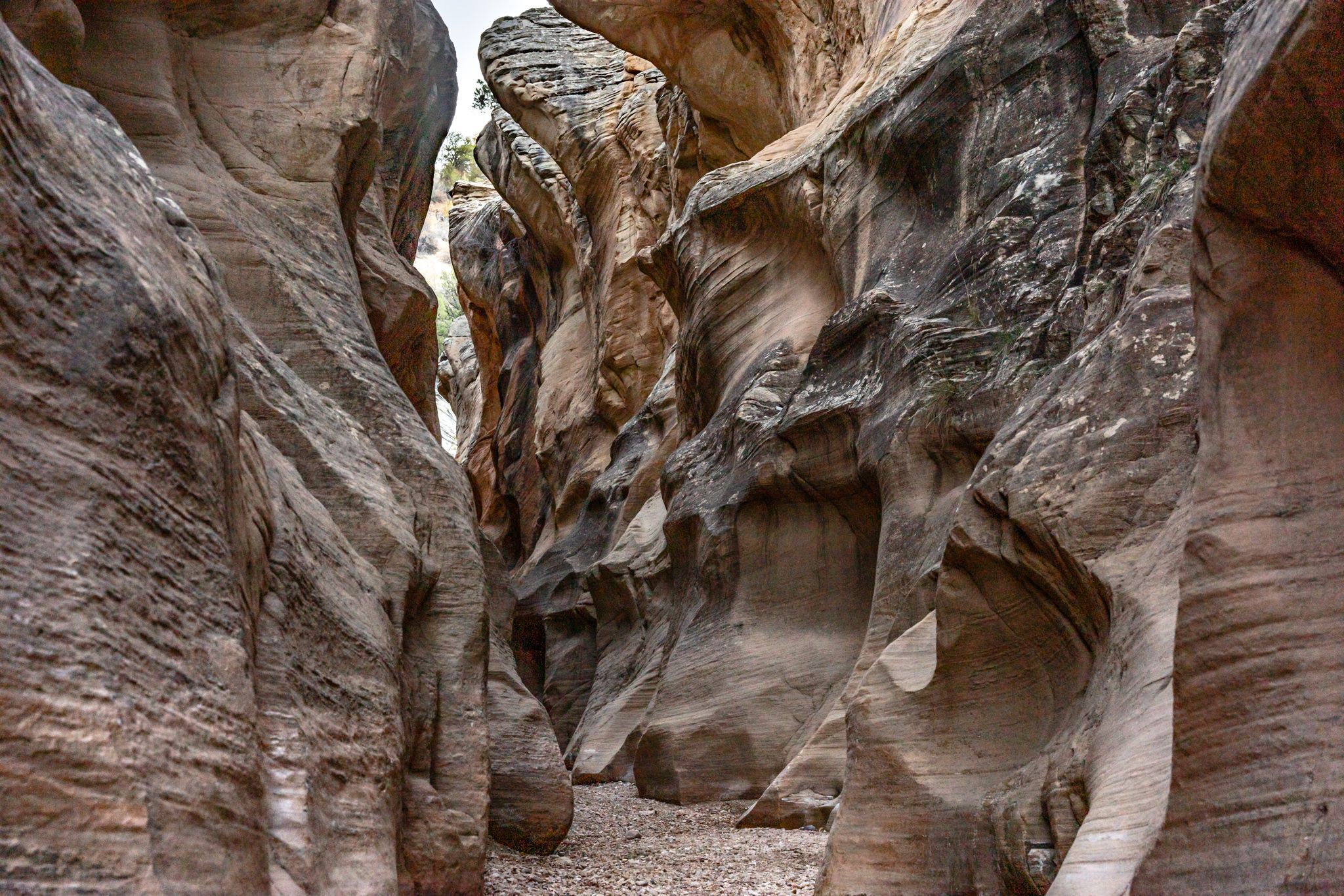 Willis Creek Narrows