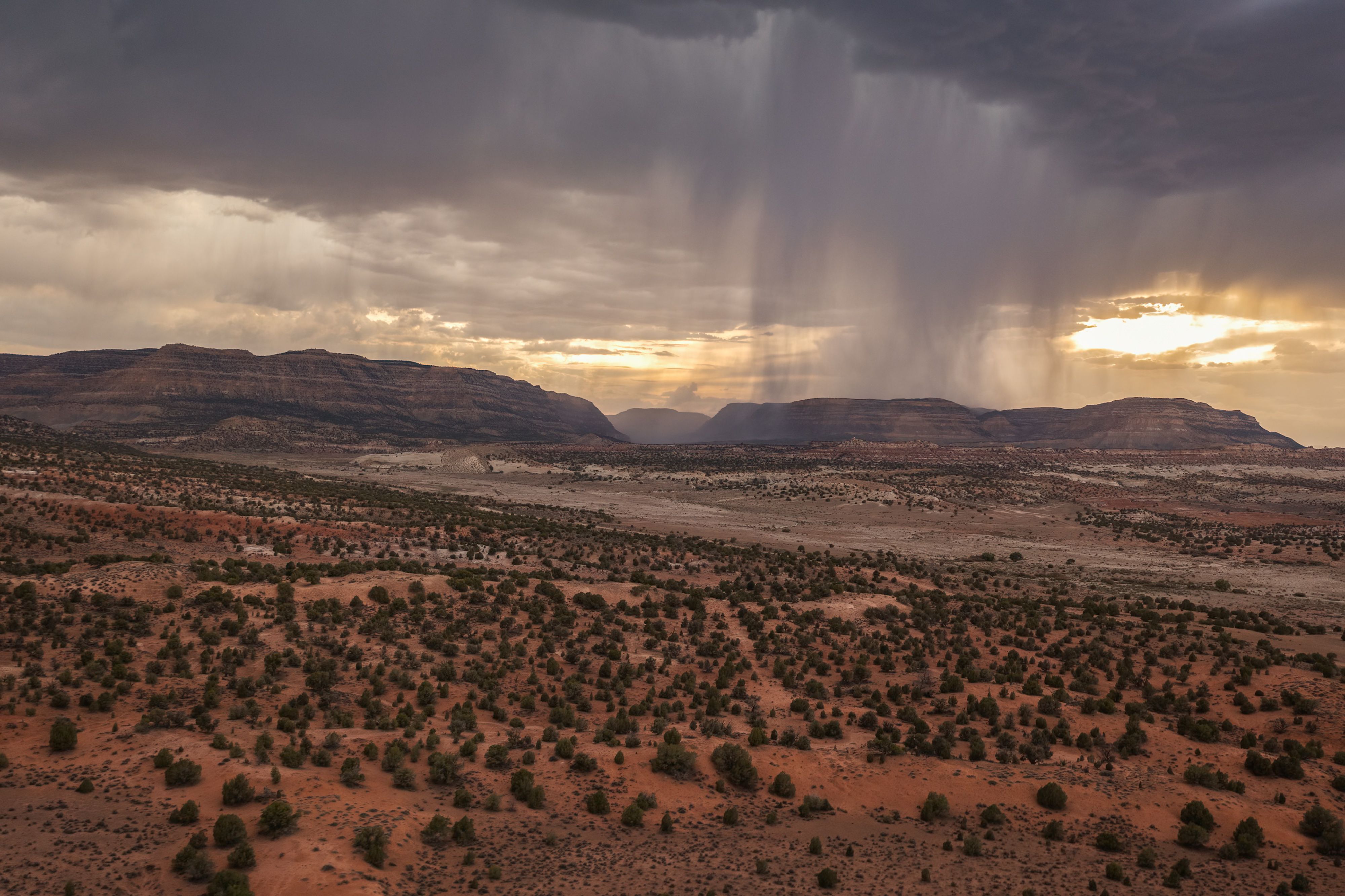 Rain Curtain