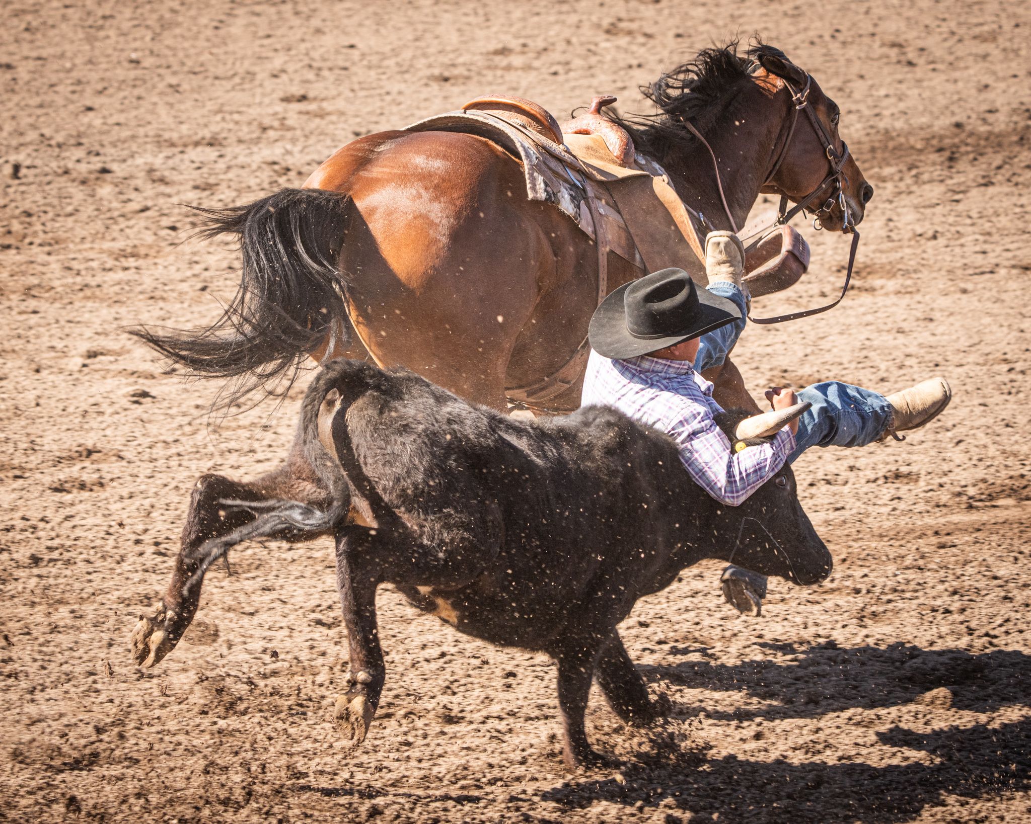 Bulldogging