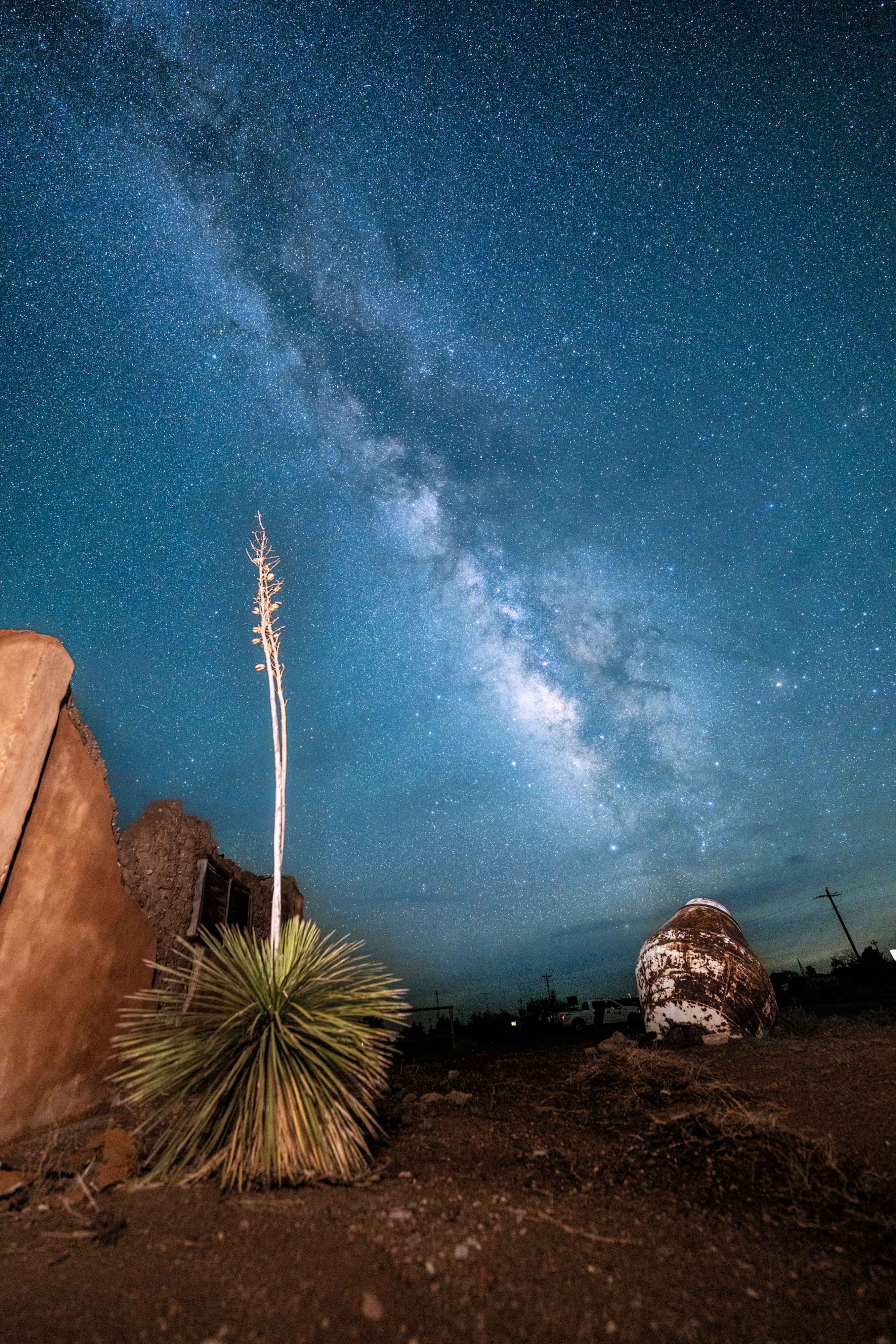 Yucca at Animas